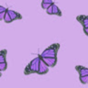 Meet your Posher, Izabella